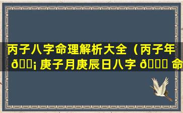 丙子八字命理解析大全（丙子年 🐡 庚子月庚辰日八字 🐋 命理）